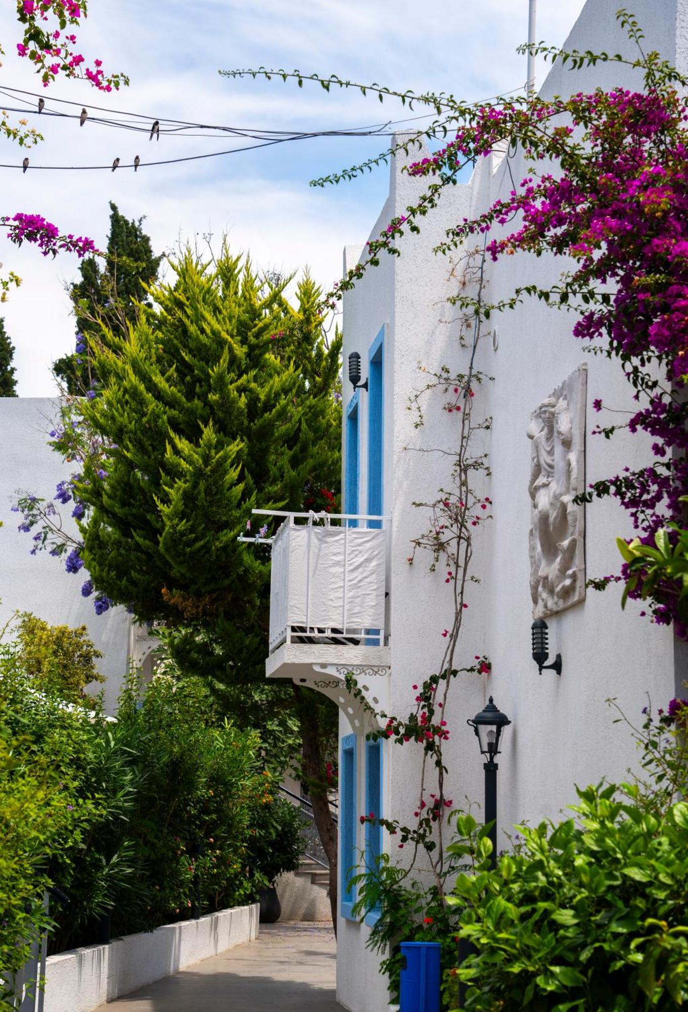 Manuela Boutique Hotel Bitez Esterno foto